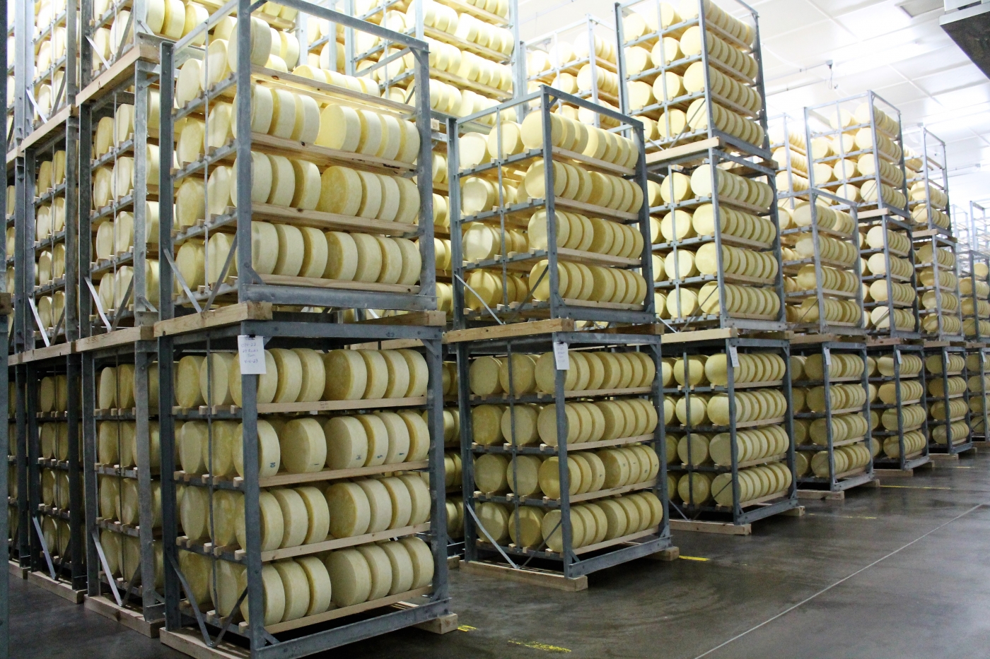 Cheese aging.